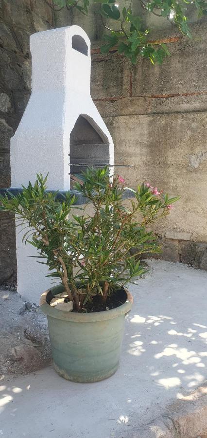 Apartmani Sara Marija Karlobag Exterior foto